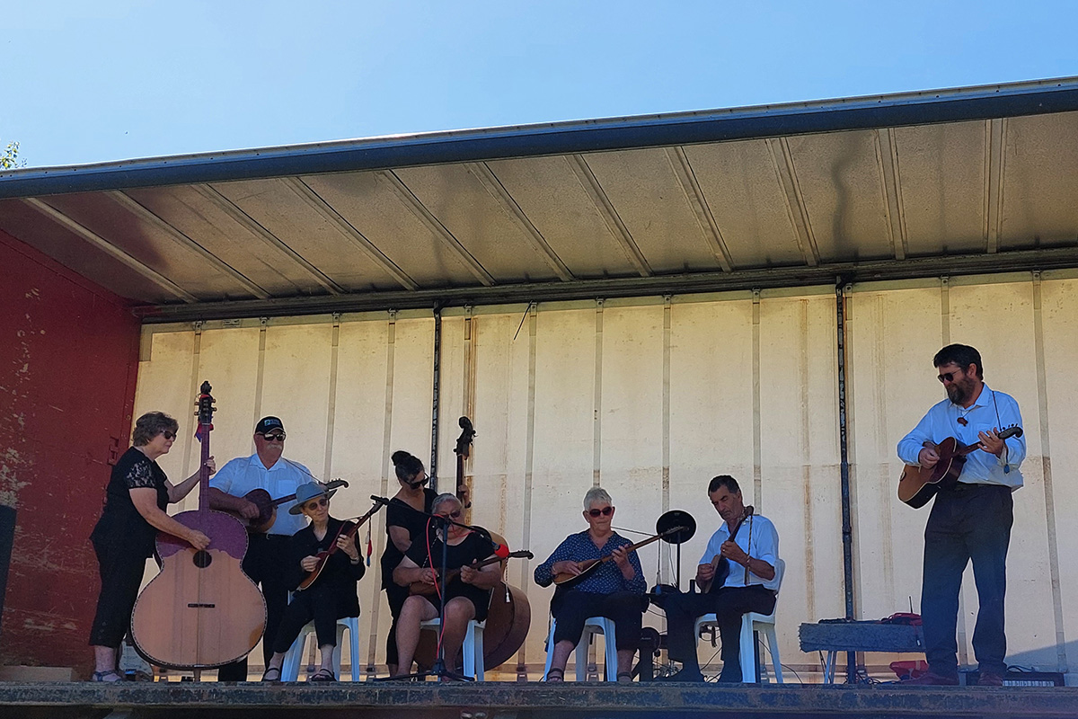 An eight person string band performing on a stage.